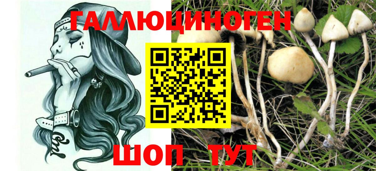 наркошоп  Галлюциногенные грибы Magic Shrooms  Вход с VPN  Губаха 