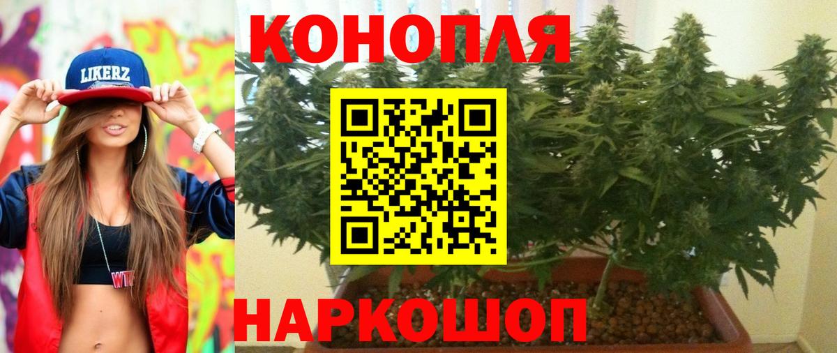 Канабис SATIVA & INDICA  Конопля индика  Губаха  Вход с VPN  Марихуана OG Kush 